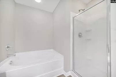 153 Pennsylvania Court, Chapin, SC 29036 - Photo 28