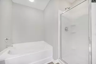 153 Pennsylvania Ct, Chapin, SC 29036 - Photo 28