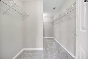 153 Pennsylvania Ct, Chapin, SC 29036 - Photo 26