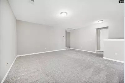 153 Pennsylvania Court, Chapin, SC 29036 - Photo 22
