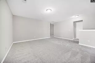 153 Pennsylvania Ct, Chapin, SC 29036 - Photo 22