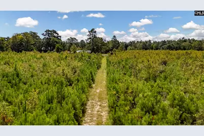 0 Prairie Court, North, SC 29112 - Photo 10