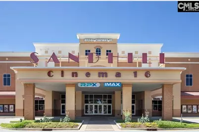 2487 Green Viper Loop, Blythewood, SC 29016 - Photo 56