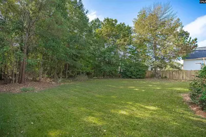 208 Blue Mountain Drive, Irmo, SC 29063 - Photo 38