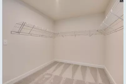 2468 Green Viper Loop, Blythewood, SC 29016 - Photo 28