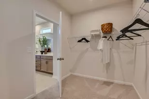 2477 Green Viper Loop, Blythewood, SC 29016 - Photo 36