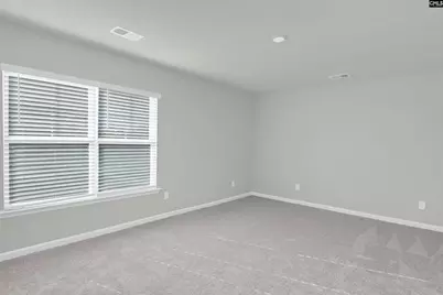 329 Pinaster Path, West Columbia, SC 29170 - Photo 32