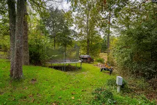 501 Canasta Dr, Gilbert, SC 29054 - Photo 52