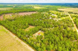 728 Jeff Sharpe Rd, Gaston, SC 29053 - Photo 32