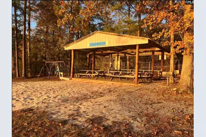 132 Pembroke Lane, Chapin, SC 29036 - Photo 56