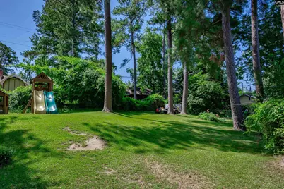 412 Winstaire Drive, Columbia, SC 29210 - Photo 54
