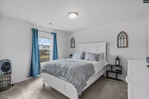 146 Belfast Wy, Lexington, SC 29073 - Photo 30