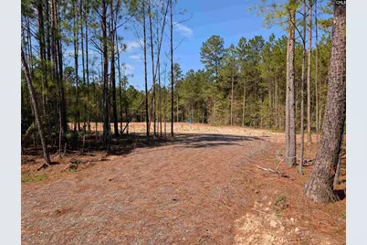 00 Mann Road #B, Winnsboro, SC 29180 - Photo 2