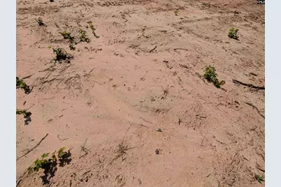 00 Mann Road #B, Winnsboro, SC 29180 - Photo 18