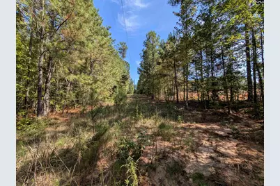 00 Mann Road #B, Winnsboro, SC 29180 - Photo 16