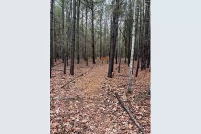 1008 Jones Road, Irmo, SC 29063 - Photo 40