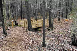 1008 Jones Rd, Irmo, SC 29063 - Photo 42