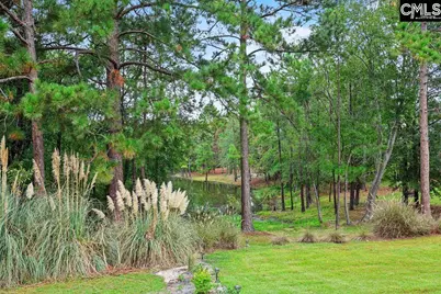 849 Heartleaf Drive, Columbia, SC 29229 - Photo 30
