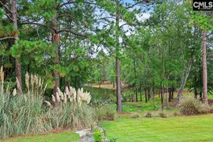 849 Heartleaf Dr, Columbia, SC 29229 - Photo 30