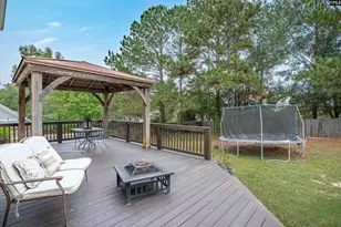 704 Millplace Loop, Irmo, SC 29063 - Photo 46