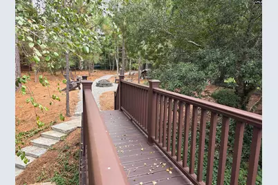 313 Aiken Hunt Circle, Columbia, SC 29223 - Photo 6