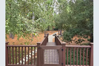 313 Aiken Hunt Circle, Columbia, SC 29223 - Photo 54