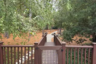 313 Aiken Hunt Cir, Columbia, SC 29223 - Photo 54