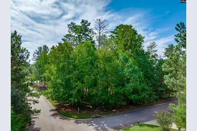 338 Lake Estate Drive, Chapin, SC 29036 - Photo 10