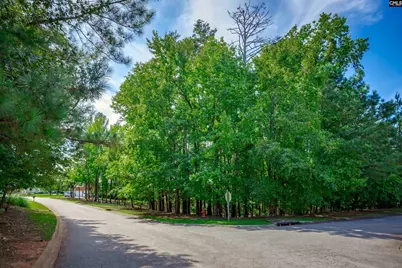 338 Lake Estate Drive, Chapin, SC 29036 - Photo 4