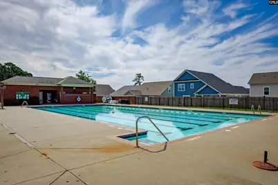 338 Lake Estate Drive, Chapin, SC 29036 - Photo 28