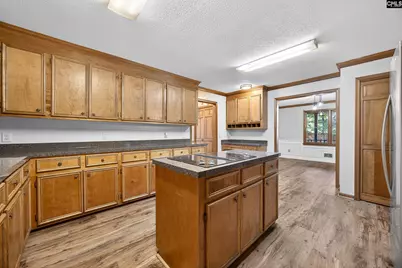 457 Amicks Ferry Road, Chapin, SC 29036 - Photo 20