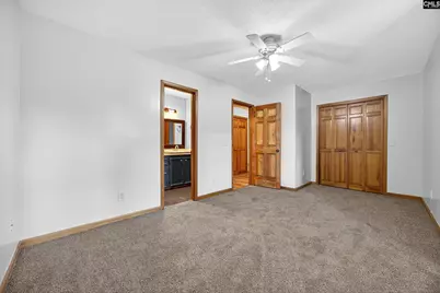 457 Amicks Ferry Road, Chapin, SC 29036 - Photo 22
