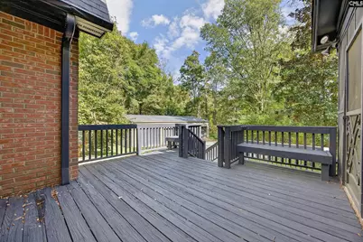 457 Amicks Ferry Road, Chapin, SC 29036 - Photo 34