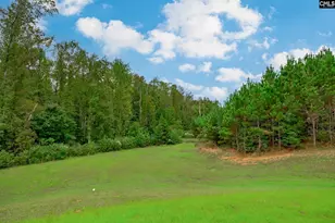 720 Braekel Ct, Lexington, SC 29072 - Photo 44