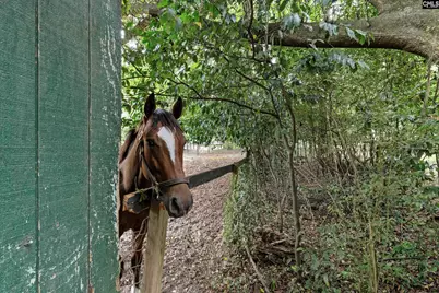 2224 Carter Street Tract C #Tract c, Camden, SC 29020 - Photo 4