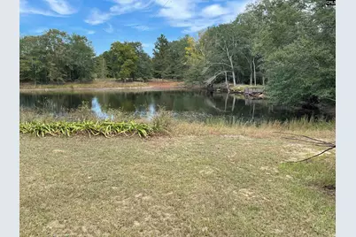 159 Hollow Creek Rd. 2+/-Ac, Salley, SC 29137 - Photo 1