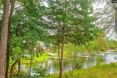 141 Thornhill Point, Leesville, SC 29070 - Photo 1