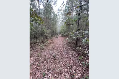 137 Honeysuckle Trail #4, Salley, SC 29137 - Photo 6