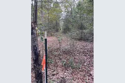 137 Honeysuckle Trail #4, Salley, SC 29137 - Photo 14