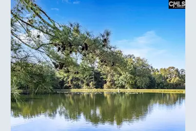 6674 Francis Marion Avenue, Dalzell, SC 29040 - Photo 38