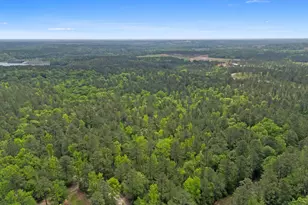 1427 Buck Hill Landing Rd, Ridgeway, SC 29130 - Photo 92