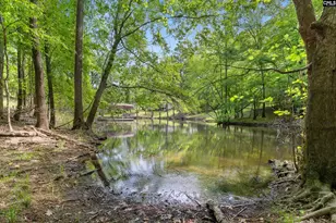 1427 Buck Hill Landing Rd, Ridgeway, SC 29130 - Photo 78