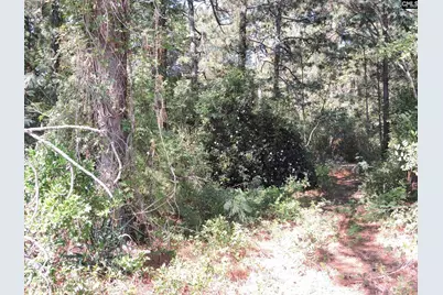 1250 South Lake Dr, Lexington, SC 29073 - Photo 4