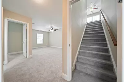 208 Woolbright Lane, Chapin, SC 29036 - Photo 46