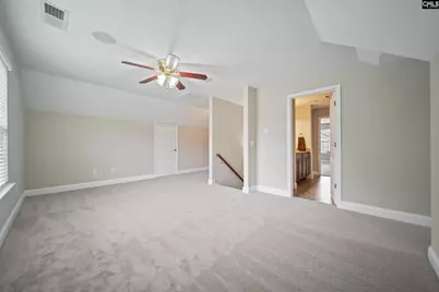 208 Woolbright Lane, Chapin, SC 29036 - Photo 48