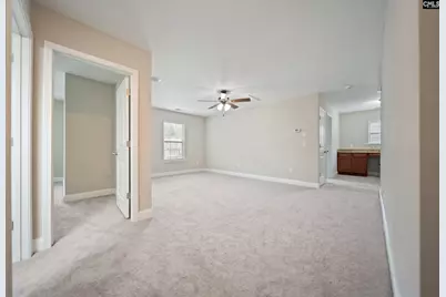 208 Woolbright Lane, Chapin, SC 29036 - Photo 38