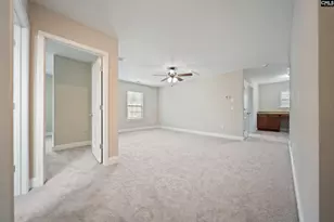 208 Woolbright Ln, Chapin, SC 29036 - Photo 38