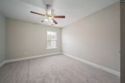 208 Woolbright Lane, Chapin, SC 29036 - Photo 28