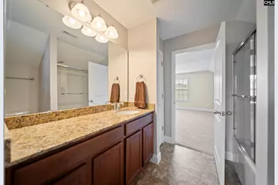 208 Woolbright Lane, Chapin, SC 29036 - Photo 50