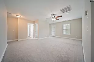 208 Woolbright Ln, Chapin, SC 29036 - Photo 30